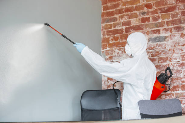 Best Biohazard Mold Removal  in Gas City, IN