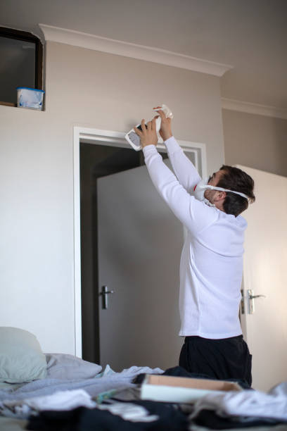 Best Mold Remediation for Vacation Homes  in Gas City, IN