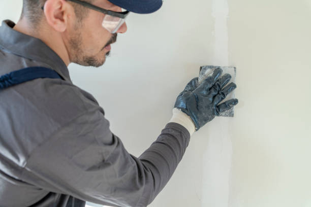 Best Biohazard Mold Removal  in Gas City, IN