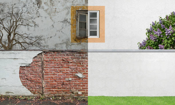 Best Basement Mold Removal  in Gas City, IN
