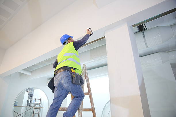Best Mold Damage Restoration  in Gas City, IN