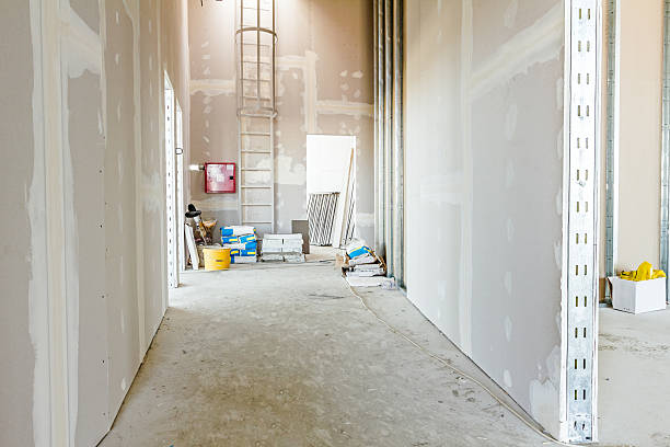 Best Mold Documentation for Insurance Claims  in Gas City, IN