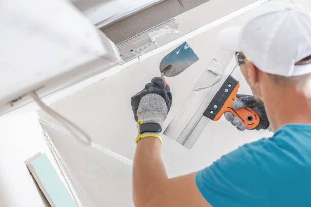 Best Industrial Mold Remediation  in Gas City, IN